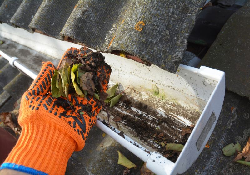 Clogged Gutter Clearing in Long Island, NY