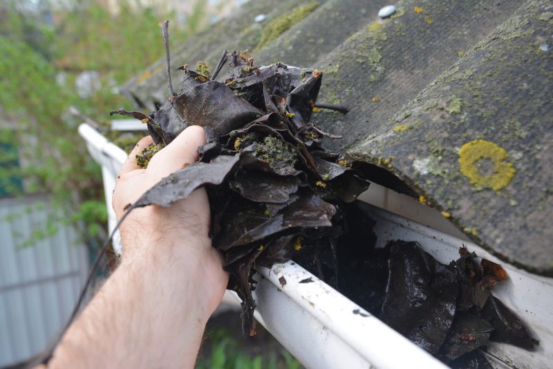 Gutter Blockage Removal in Annapolis, MD