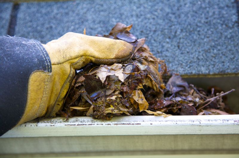Gutter Leaf Clearing in Baltimore, MD