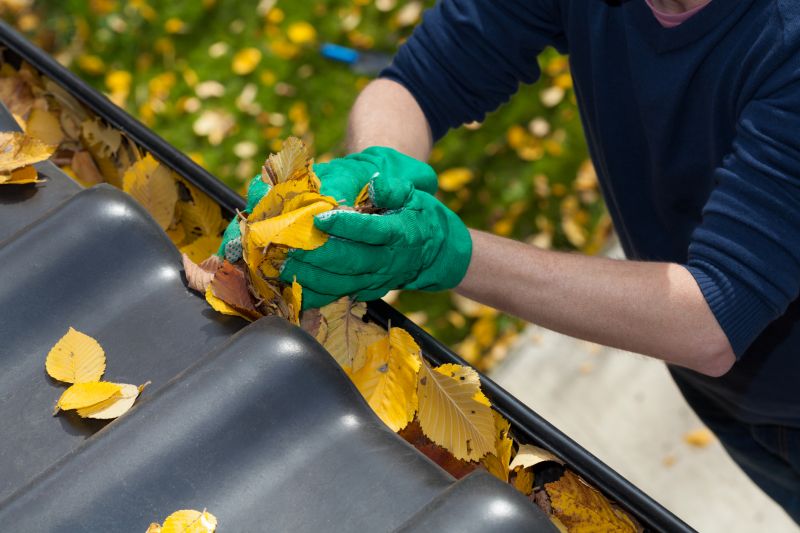 Gutter Leaf Clearing in Fredericksburg, VA