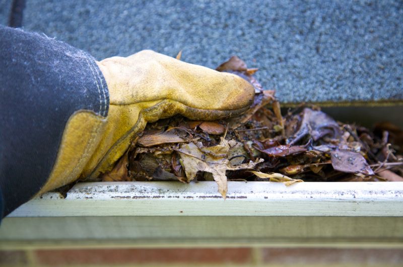 Gutter Pine Needle Removal in Bergen County, NJ