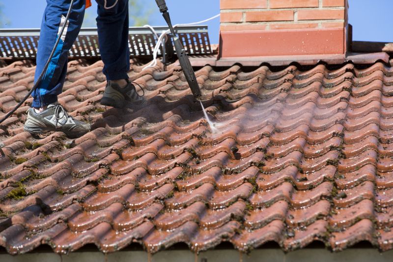 Roof Cleaning Solutions